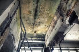 Mold Remediation for Rental Properties in Taft, TX